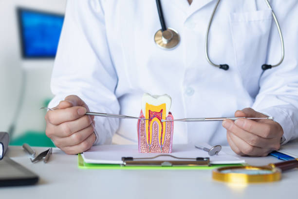 Best Emergency Dental Care for Broken or Chipped Teeth in South Roxana, IL